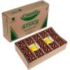 Crayola Crayon Classpack (800ct), Bulk Crayons for Kids, Bulk School Supplies, Large Crayon Box, Preschool Teacher Classroom Essentials, Ages 5, 6, 7(832 Count (Pack of 1))