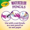 Crayola Classpack Watercolor Pencils, 240ct, 20 each of 12 Colors, Great for Classroom, Educational, Art Tools(Watercolor)