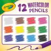 Crayola Classpack Watercolor Pencils, 240ct, 20 each of 12 Colors, Great for Classroom, Educational, Art Tools(Watercolor)