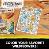 Crayola Tropical Garden Adult Coloring Book (40pgs), Adult Coloring Pages, Stress Relief Activity, Gift for Teens & Adults, 9+(Wildflowers)
