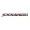 Eureka Classic Crayola Decorative Classroom and Bulletin Board Trim for Teachers, 3.25″ Wide, 12 Strips for 37 Total Feet