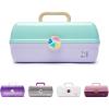 Caboodles On-The-Go-Girl Case(Seafoam over Lavender)