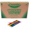 Crayola Classpack Watercolor Pencils, 240ct, 20 each of 12 Colors, Great for Classroom, Educational, Art Tools(Watercolor)