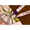Crayola Stay Hydrated Adult Coloring Book, 32 Pgs, Premium Paper, Stress Relief and Relaxation Activities, Gift for Women and Men(Stay Hydrated)